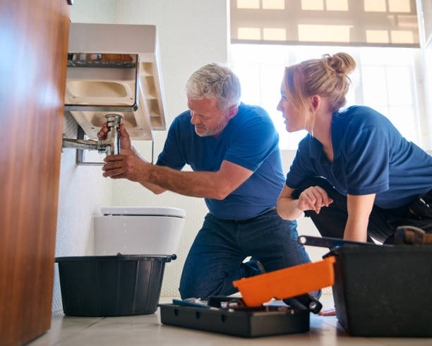 Best Residential Plumbing Services  in Leadville North, CO